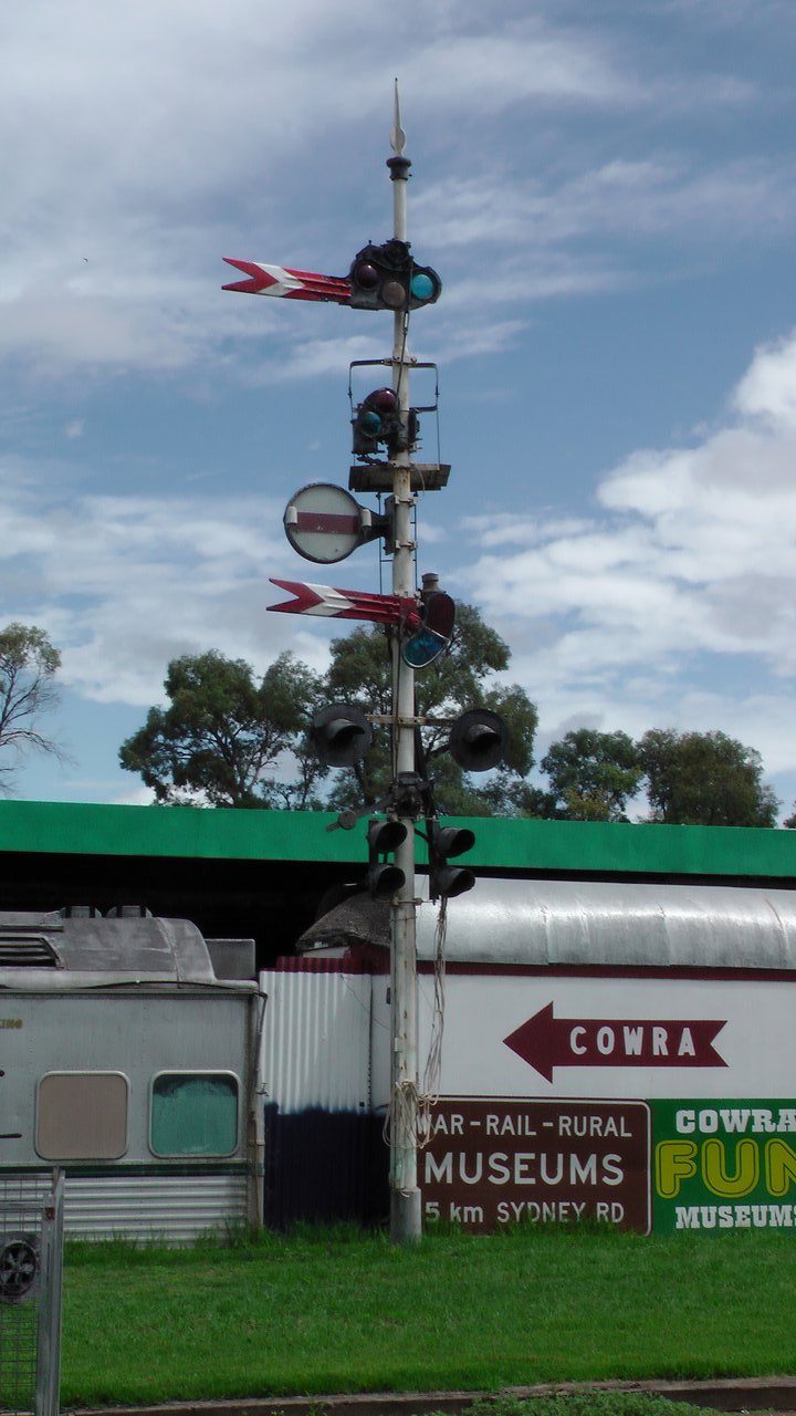 zig_zag_cowra-0115