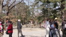 China_trip_0156