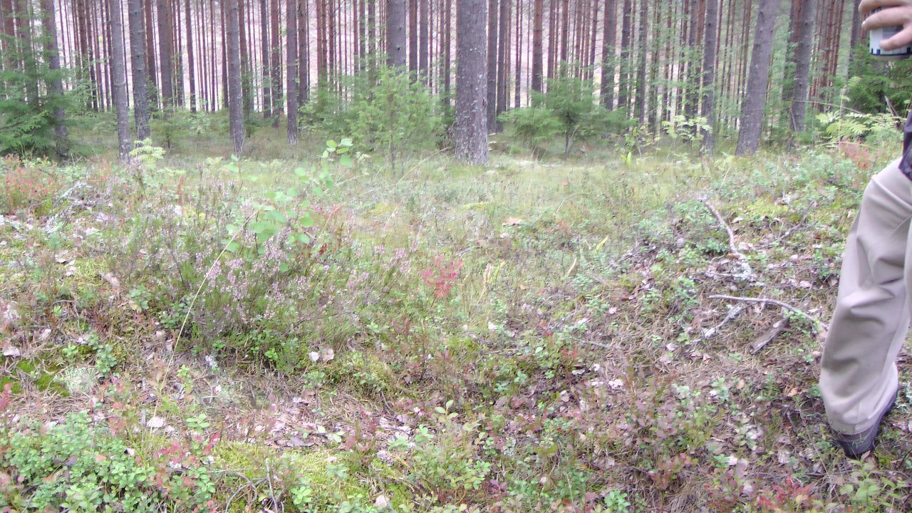 järvitaipale-016