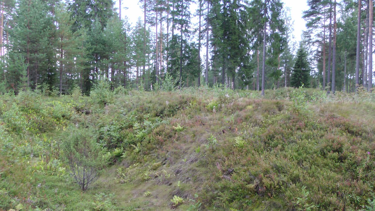 järvitaipale-020