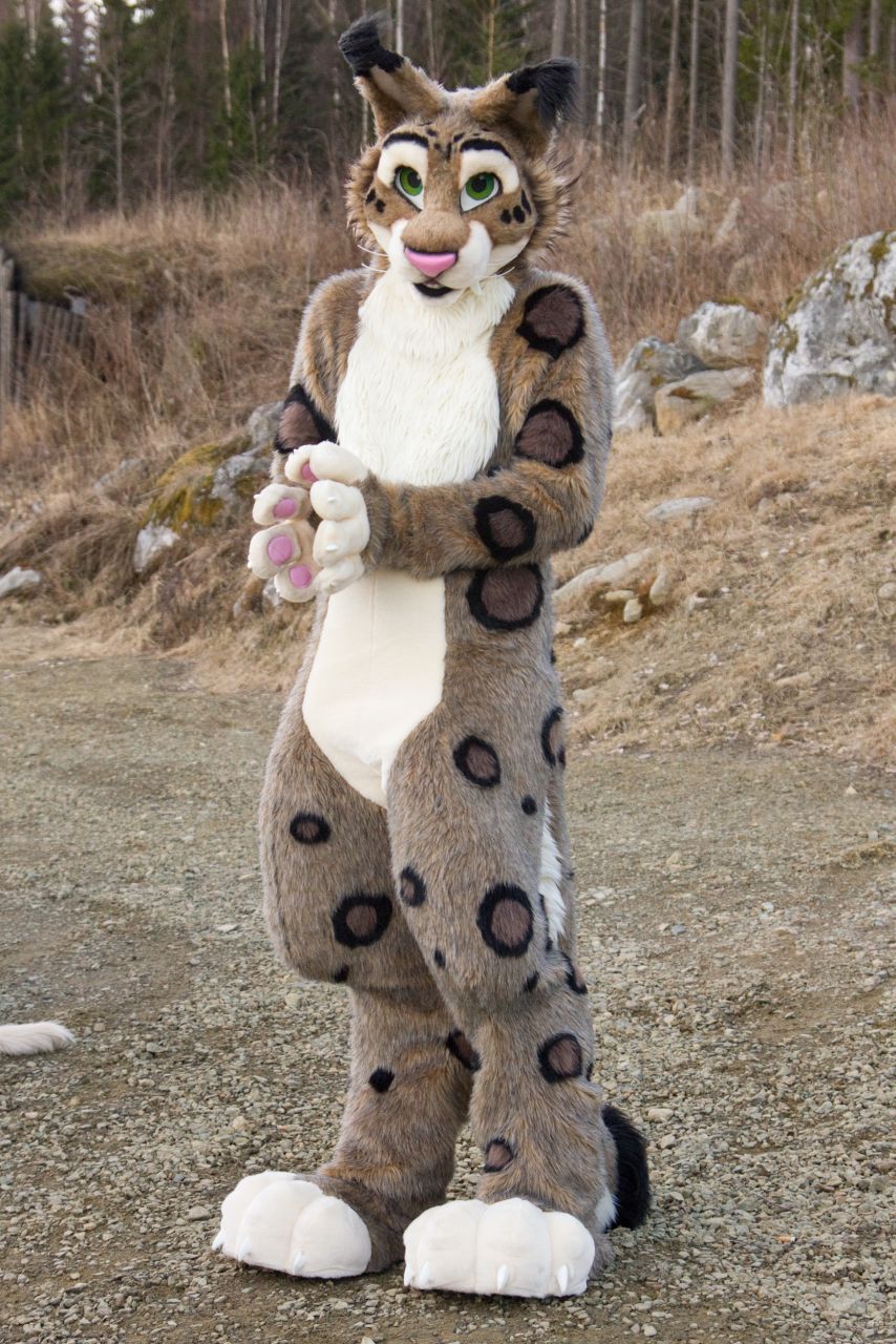 Mökkimiitti_fursuit_photo_4