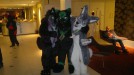 Zid the wolf on the left, in the middle someone whose name eludes me, and Ingvar the Swedish elkhound on the right. So cute!