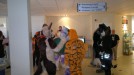 From left to right - Duke, Lucky Tiger, and also Kirrow as Tobi the jaguar-fox.