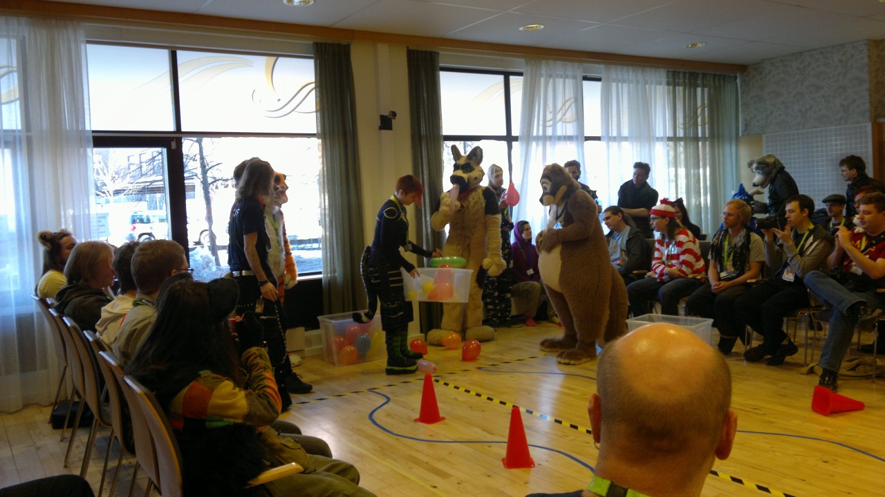 Nordic Fuzzcon 2013 - 100