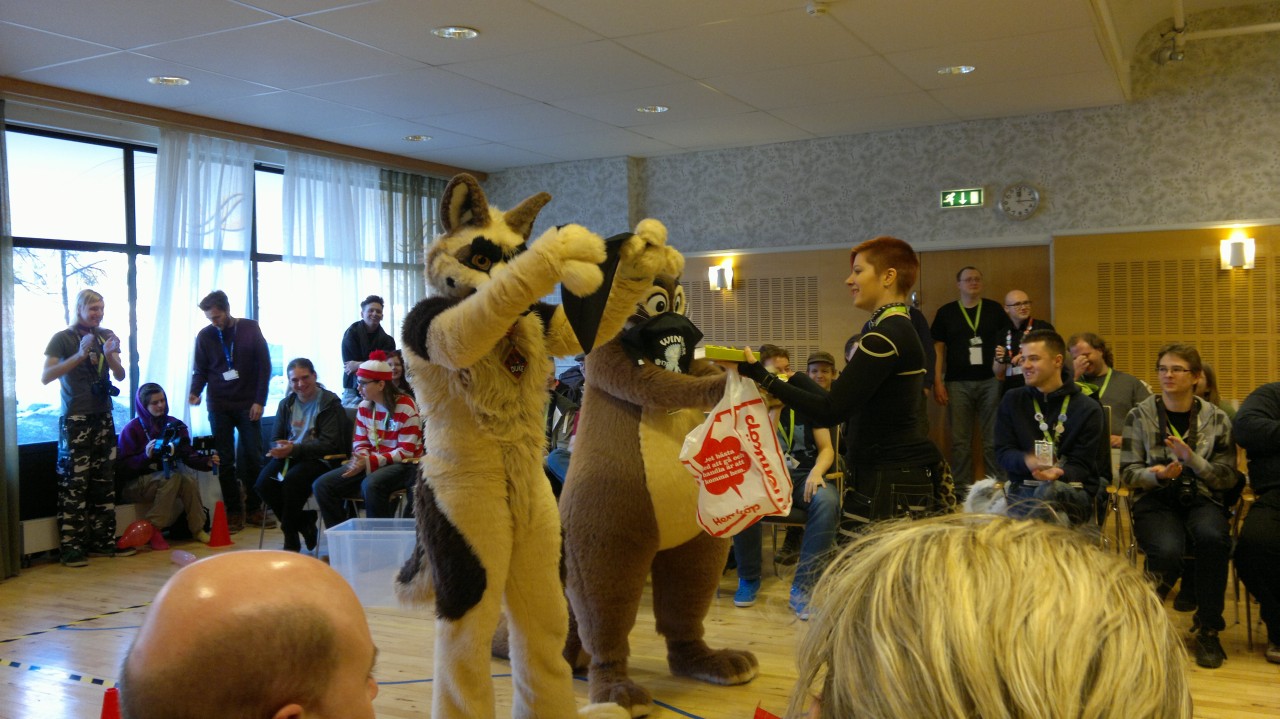 Nordic Fuzzcon 2013 - 101