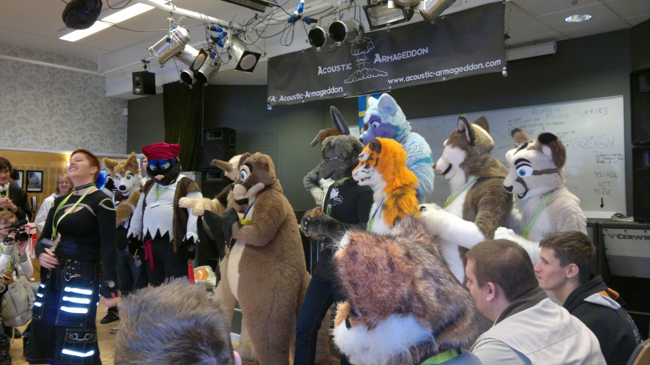 Nordic Fuzzcon 2013 - 105