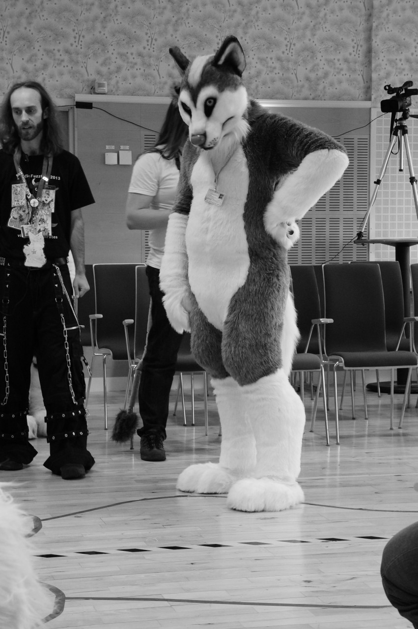 Nordic Fuzzcon 2013 - 128