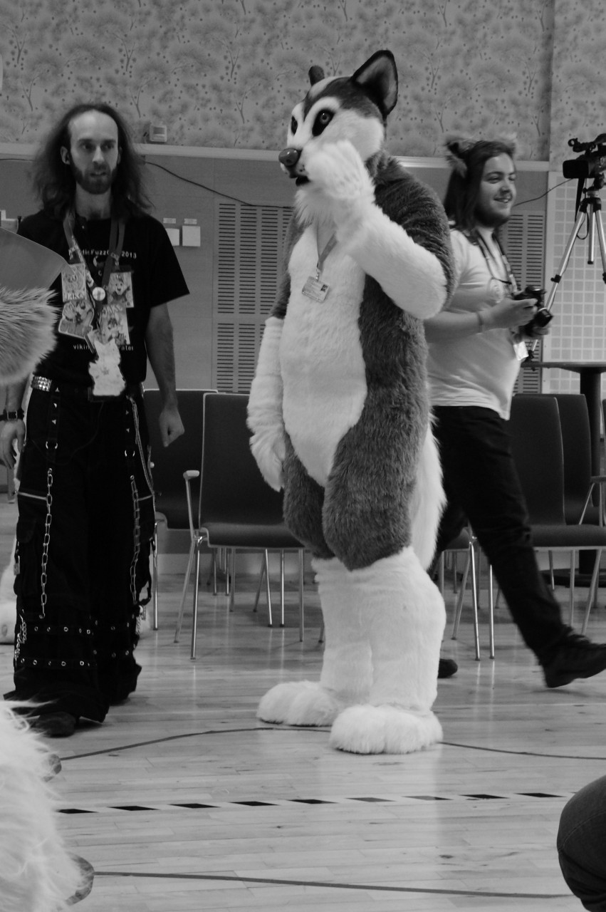 Nordic Fuzzcon 2013 - 129