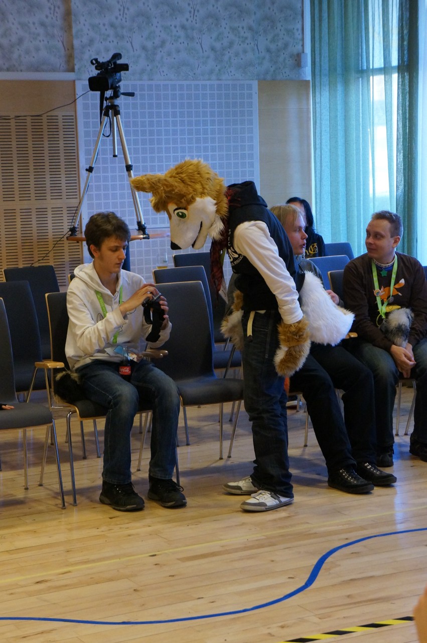 Nordic Fuzzcon 2013 - 134