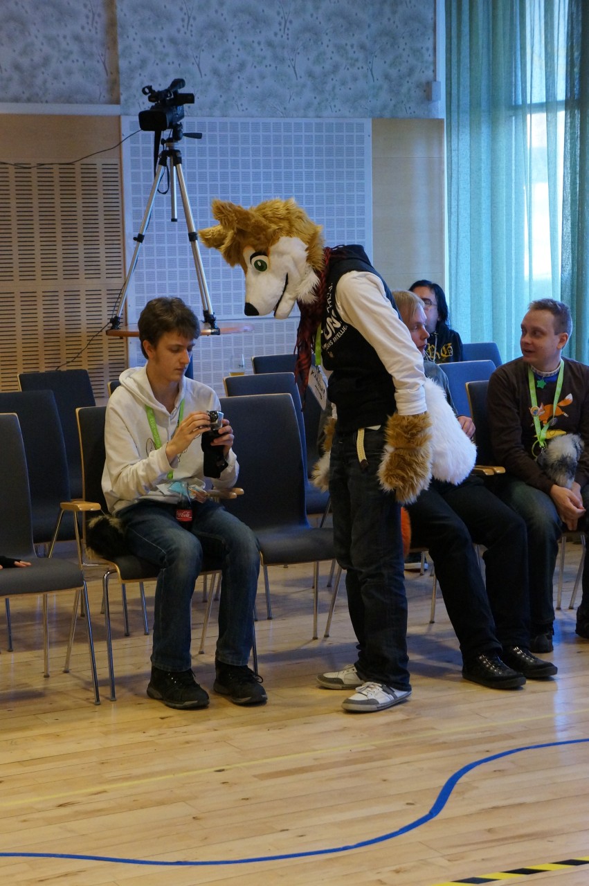 Nordic Fuzzcon 2013 - 135