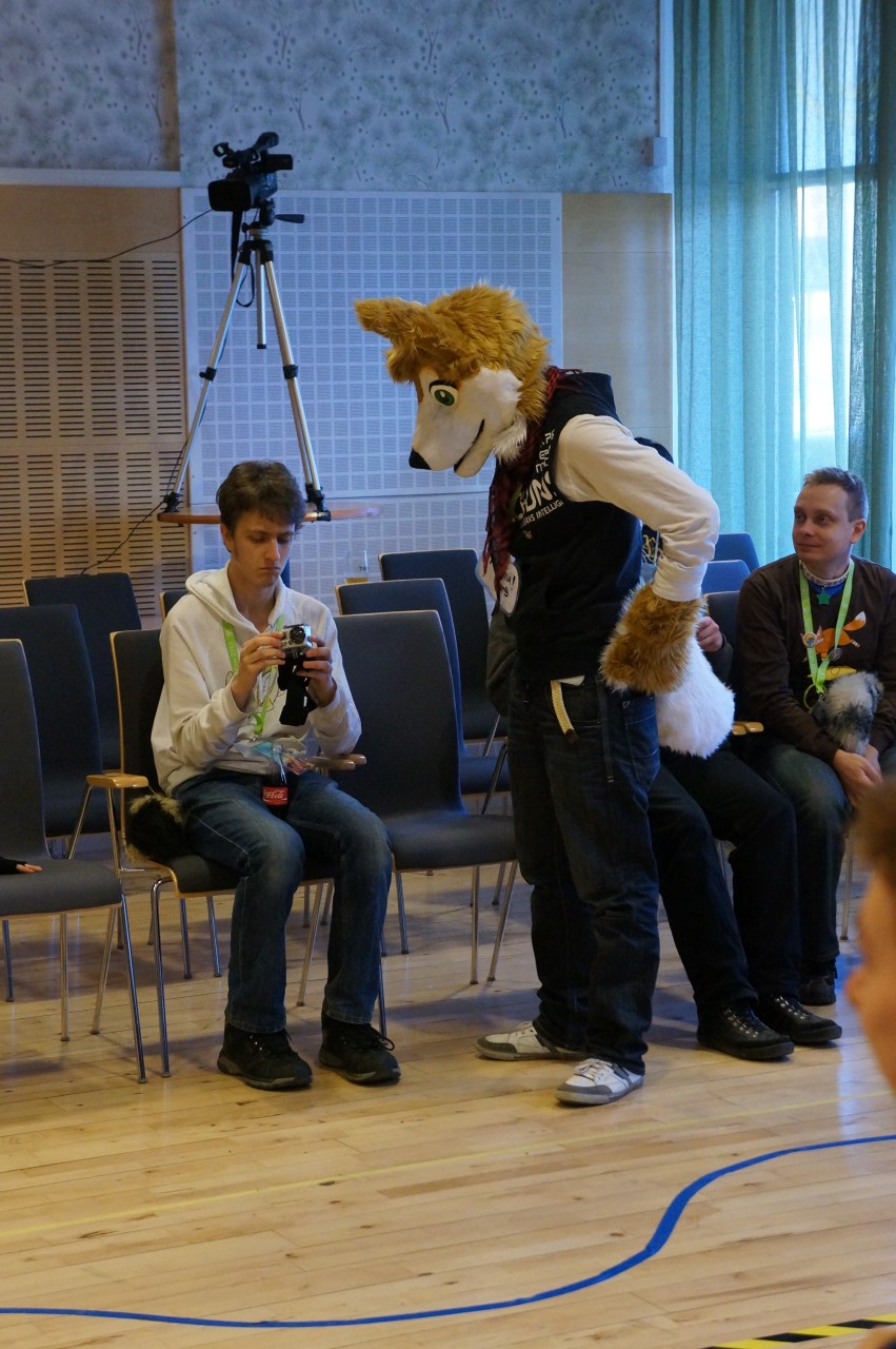 Nordic Fuzzcon 2013 - 136