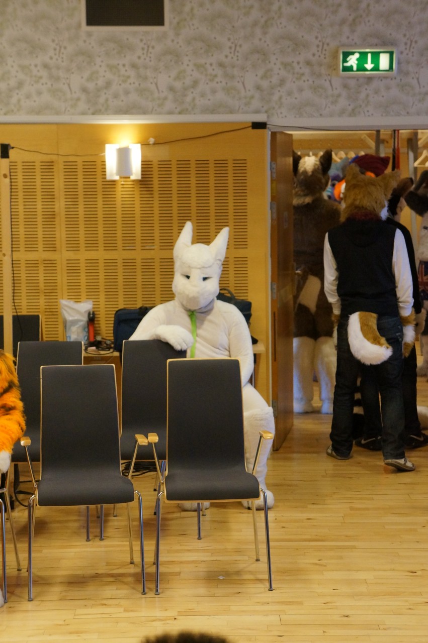 Nordic Fuzzcon 2013 - 137