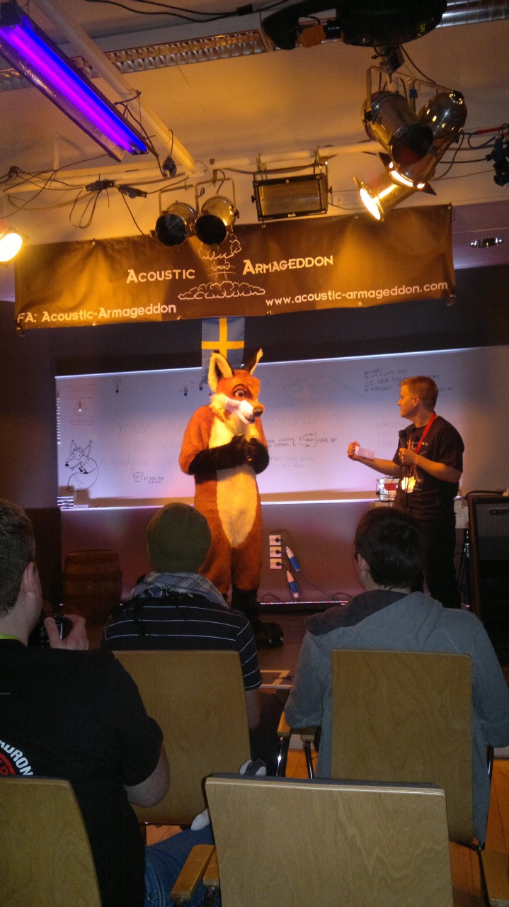 Nordic Fuzzcon 2013 - 14