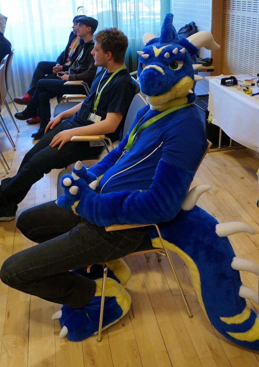 Nordic Fuzzcon 2013 - 140