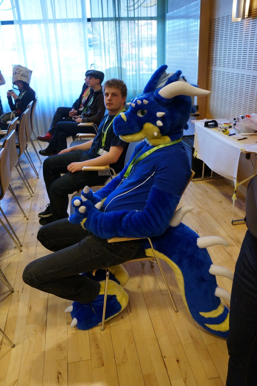 Nordic Fuzzcon 2013 - 141