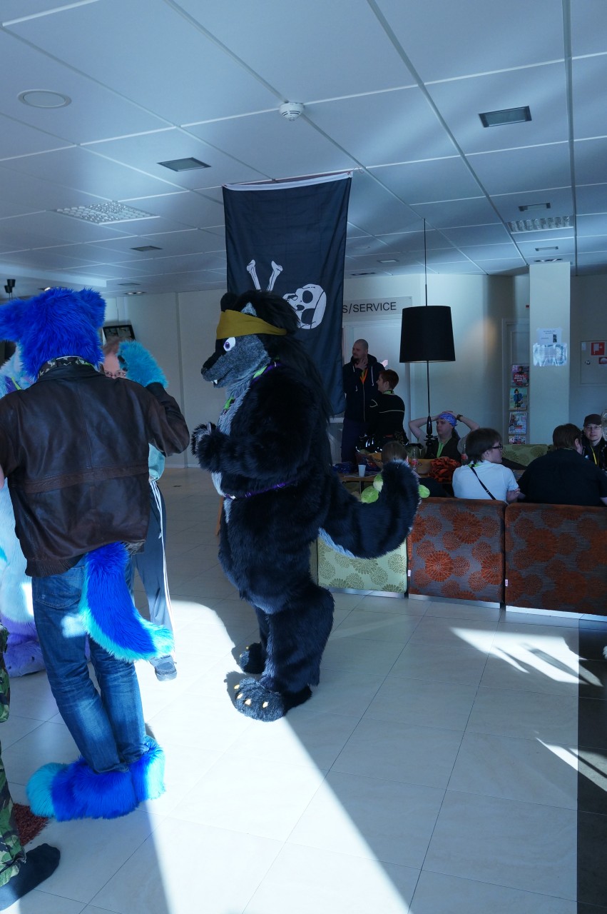 Nordic Fuzzcon 2013 - 193