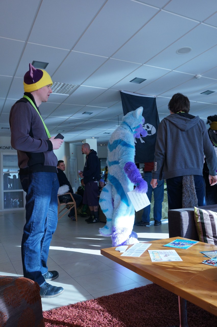 Nordic Fuzzcon 2013 - 196