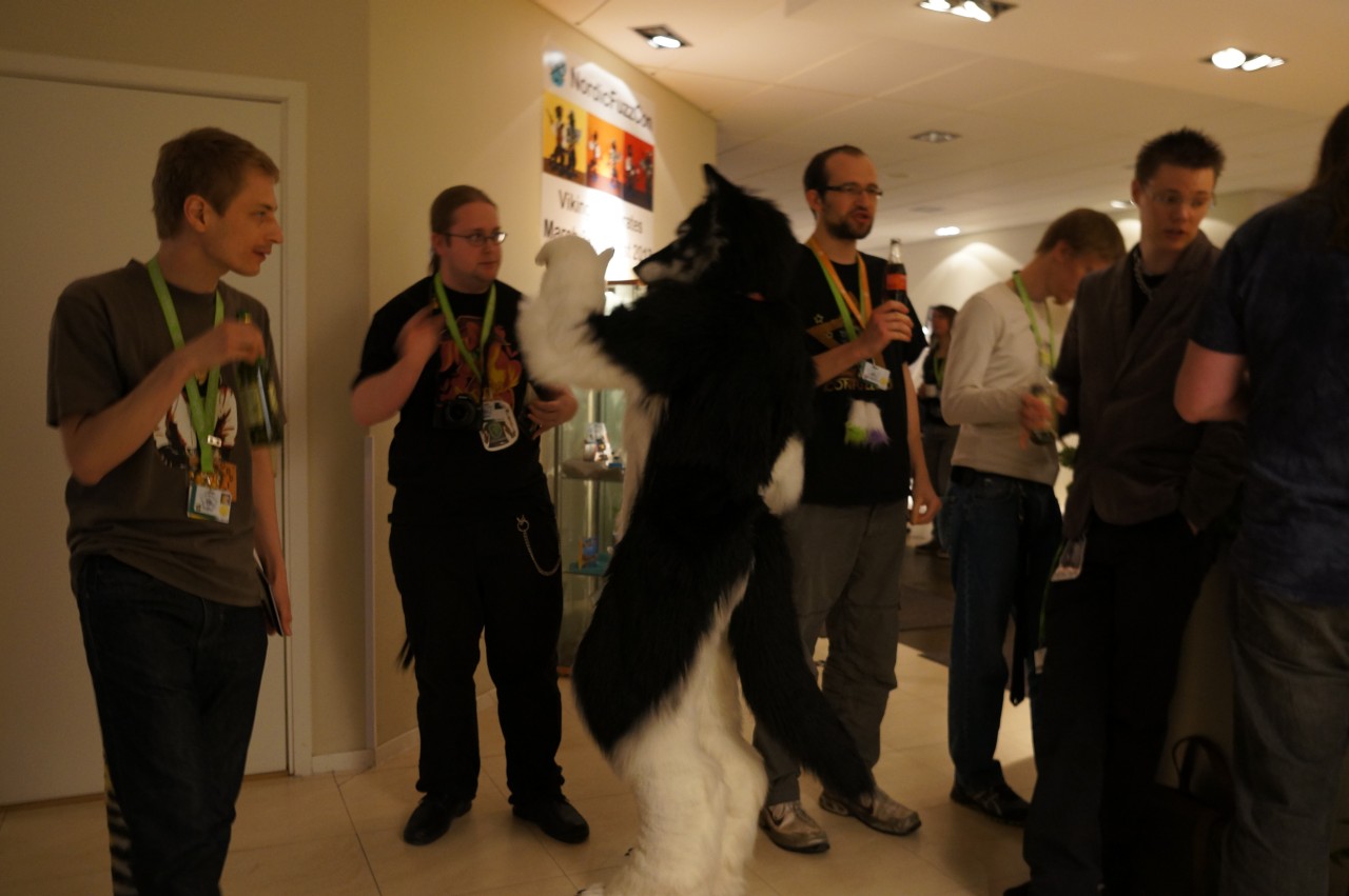 Nordic Fuzzcon 2013 - 205