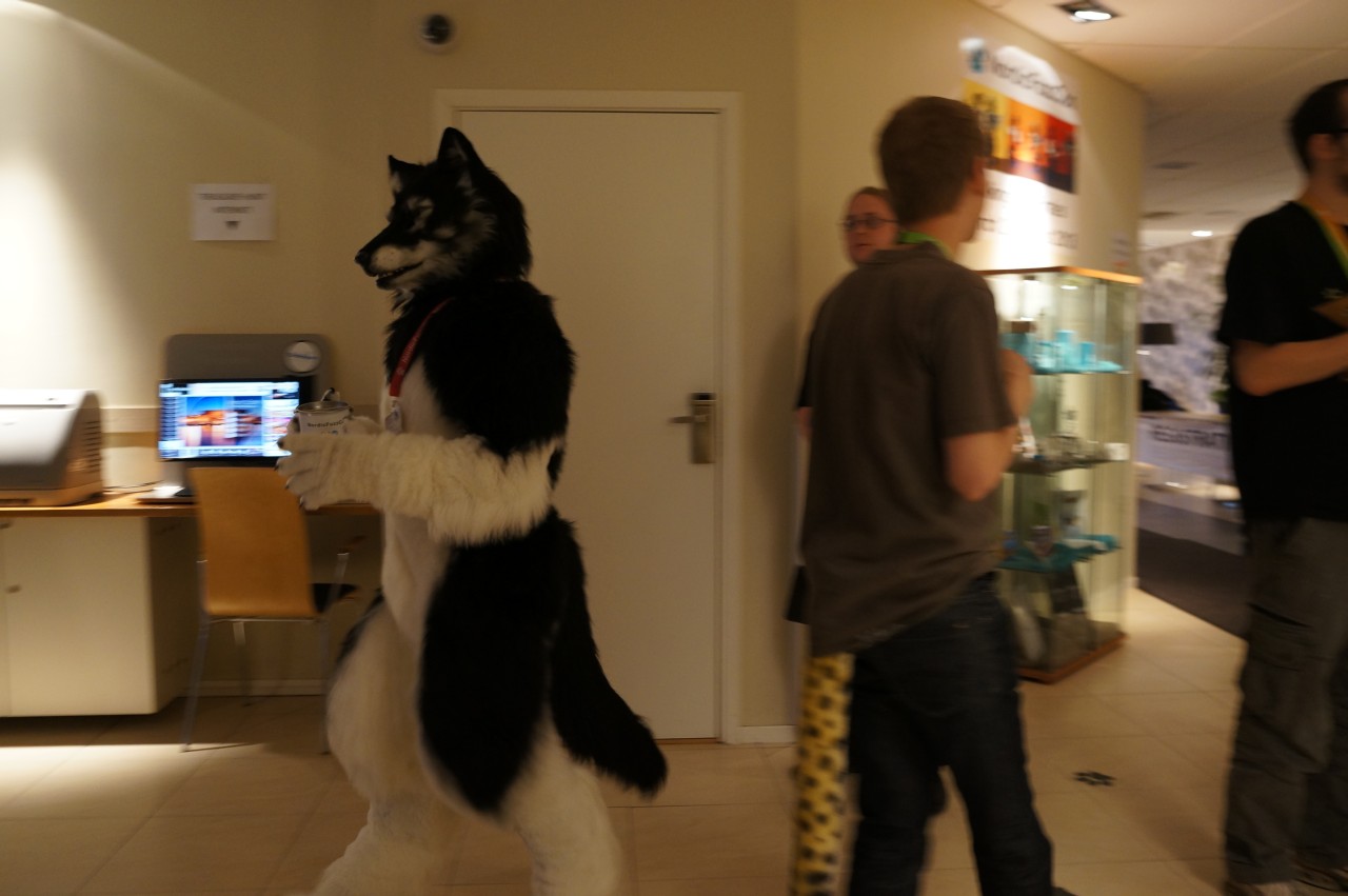 Nordic Fuzzcon 2013 - 206