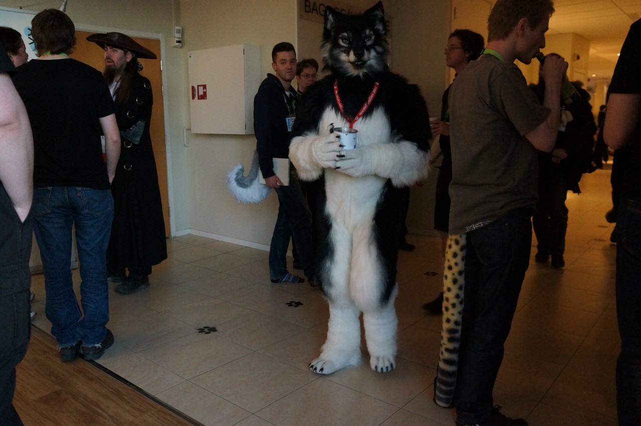 Nordic Fuzzcon 2013 - 209