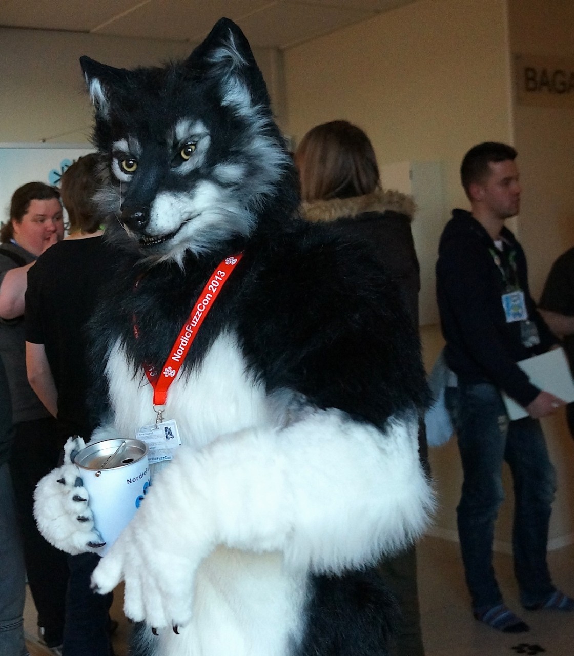 Nordic Fuzzcon 2013 - 210