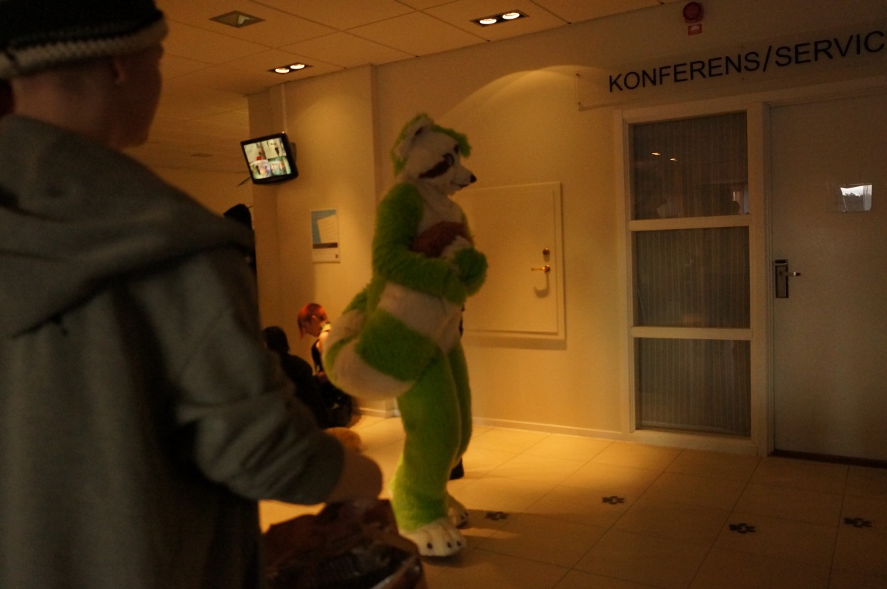 Nordic Fuzzcon 2013 - 212