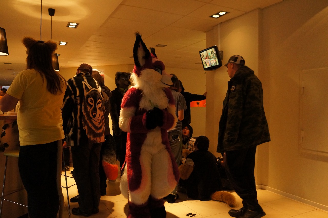 Nordic Fuzzcon 2013 - 215