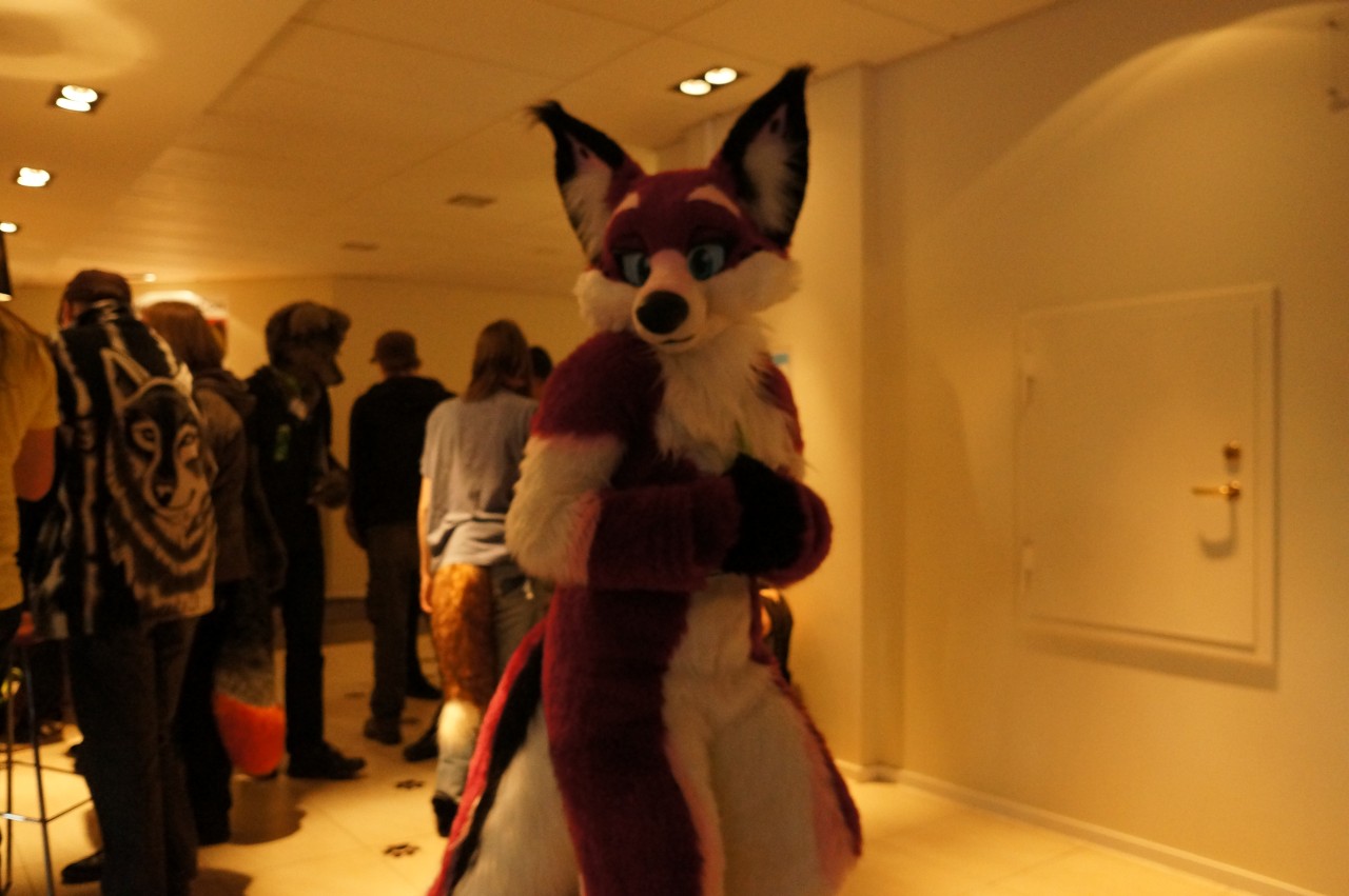 Nordic Fuzzcon 2013 - 216