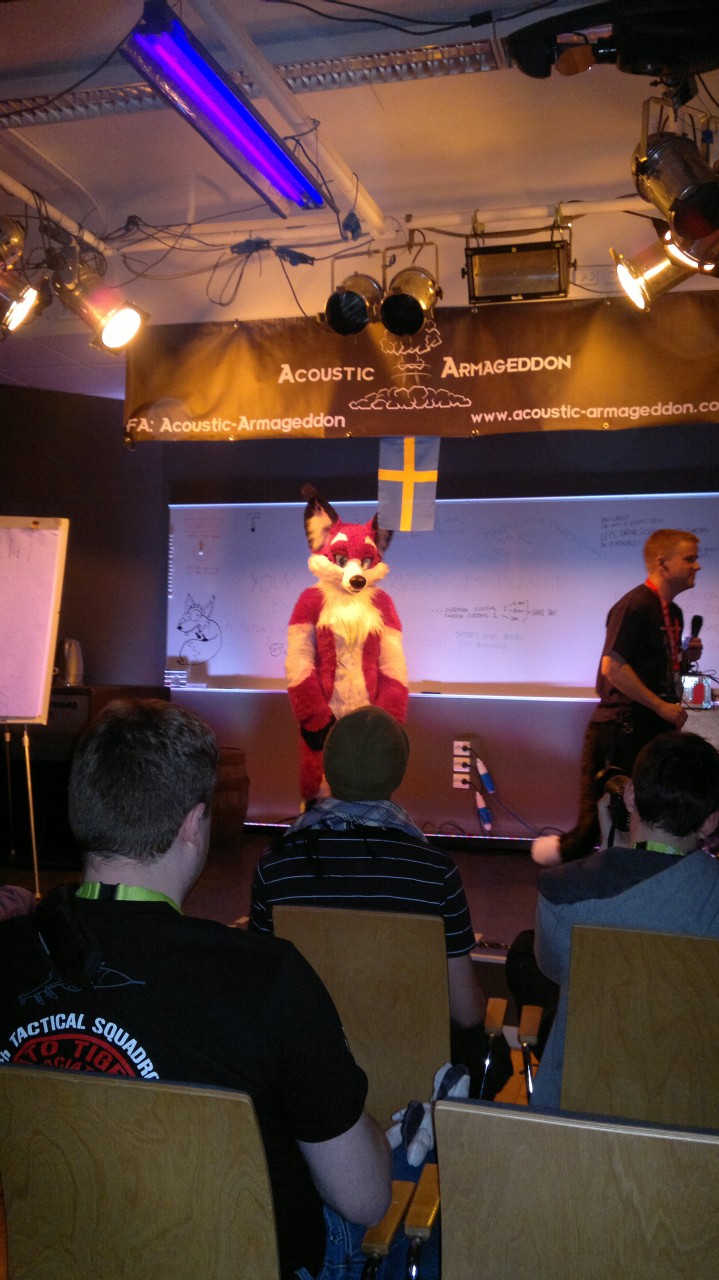 Nordic Fuzzcon 2013 - 22