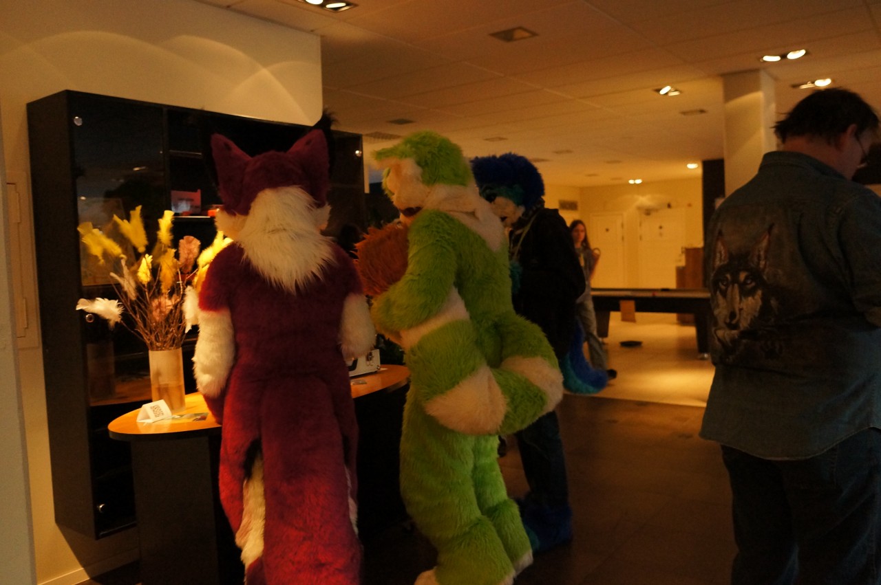 Nordic Fuzzcon 2013 - 220