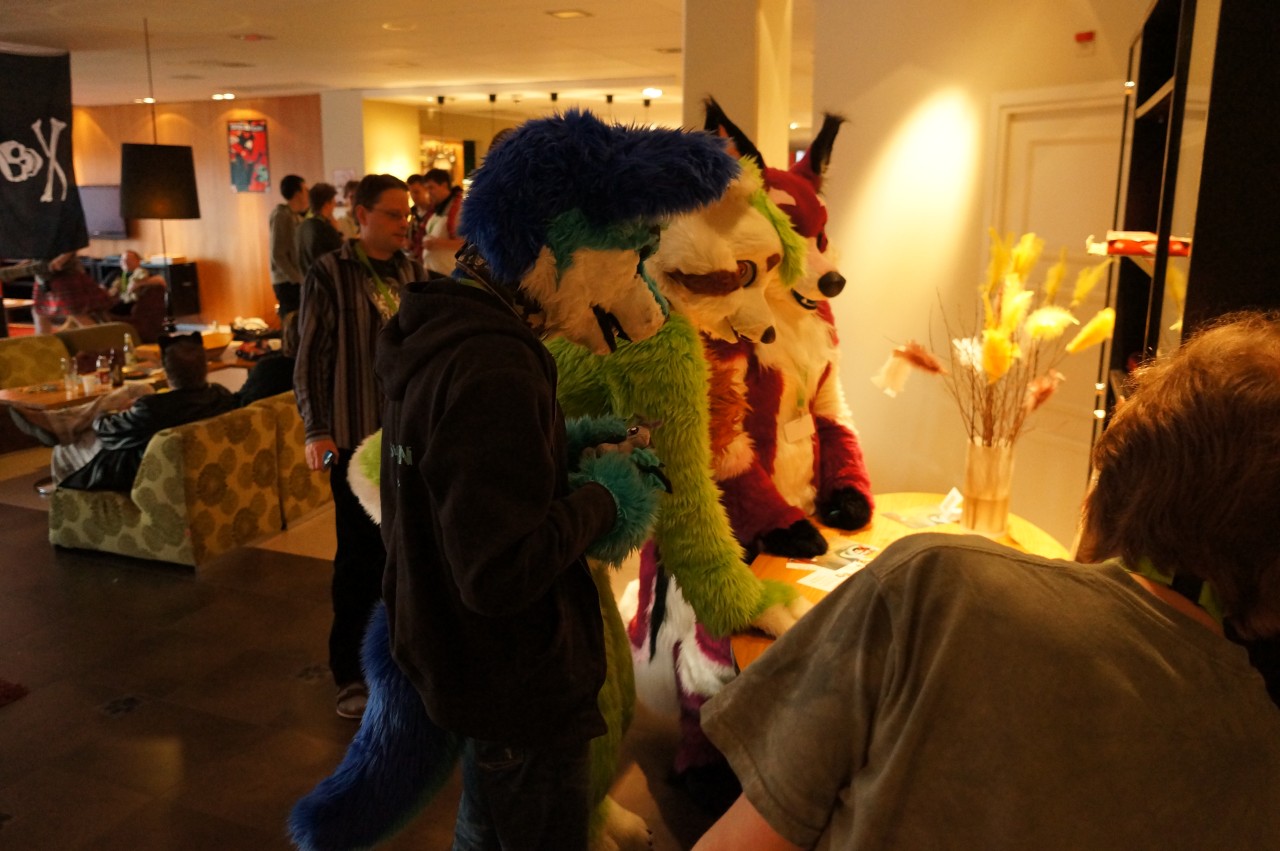 Nordic Fuzzcon 2013 - 221