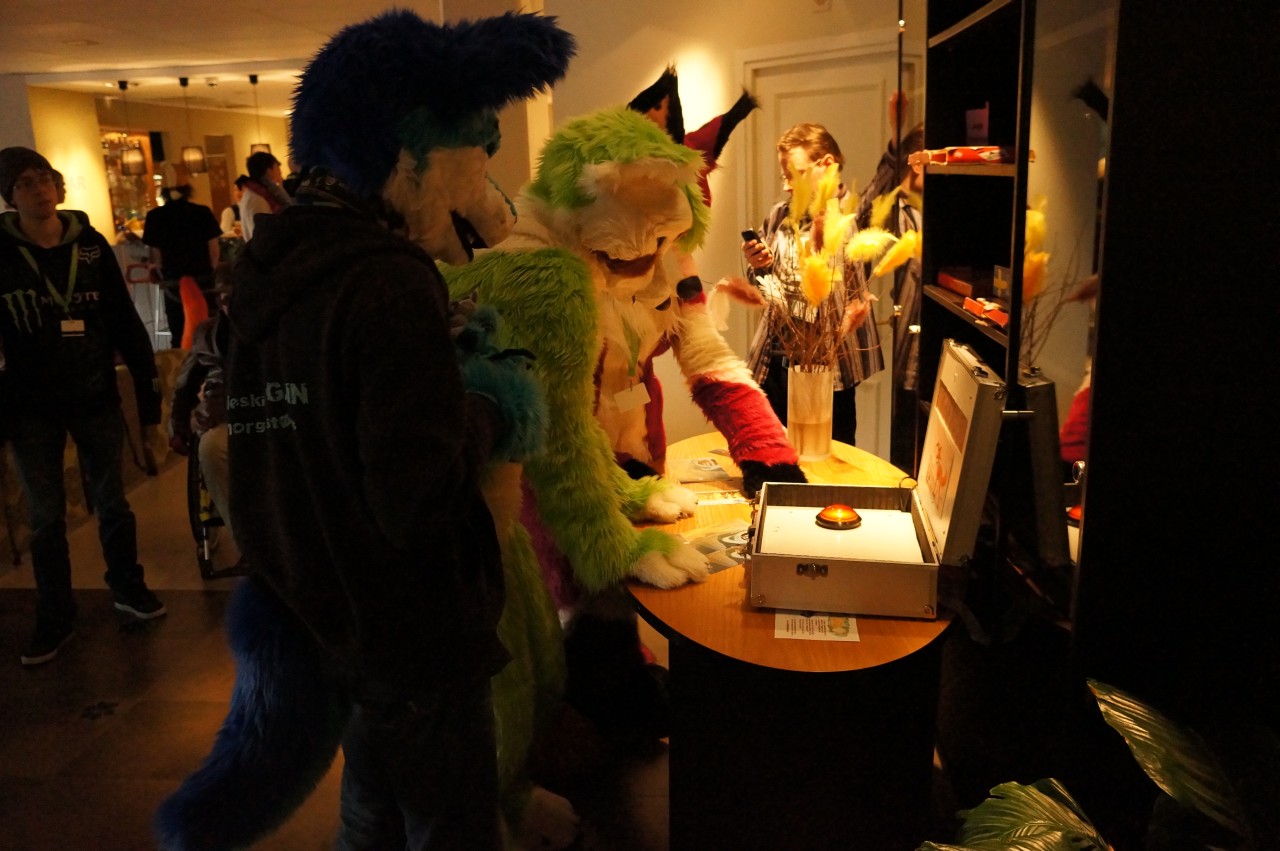 Nordic Fuzzcon 2013 - 225