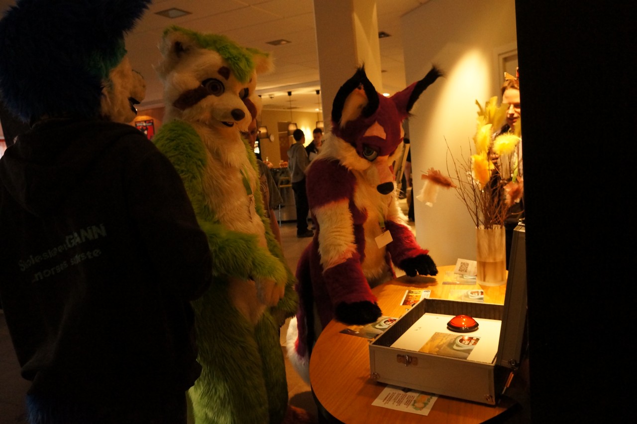 Nordic Fuzzcon 2013 - 226