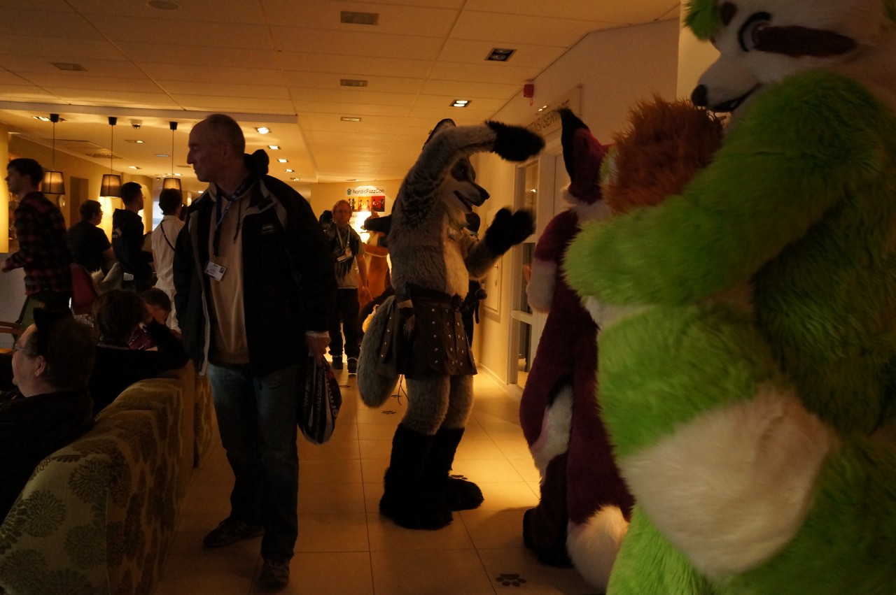 Nordic Fuzzcon 2013 - 228