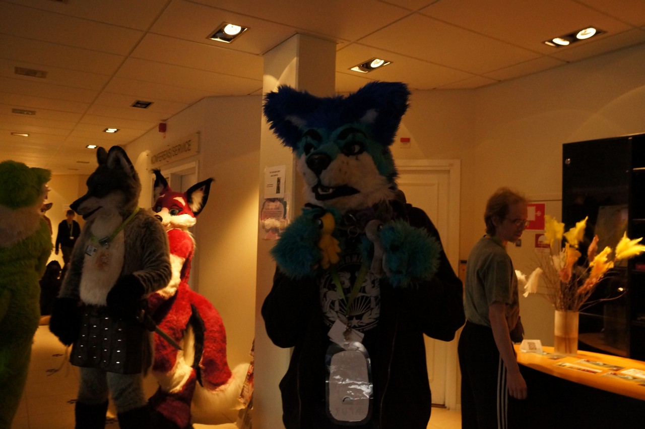 Nordic Fuzzcon 2013 - 229