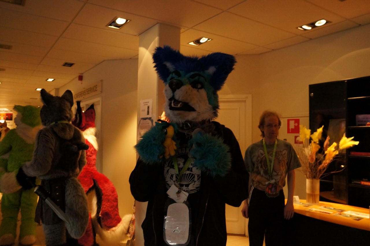 Nordic Fuzzcon 2013 - 230