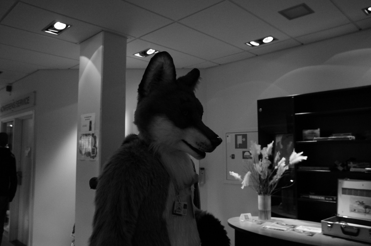 Nordic Fuzzcon 2013 - 231