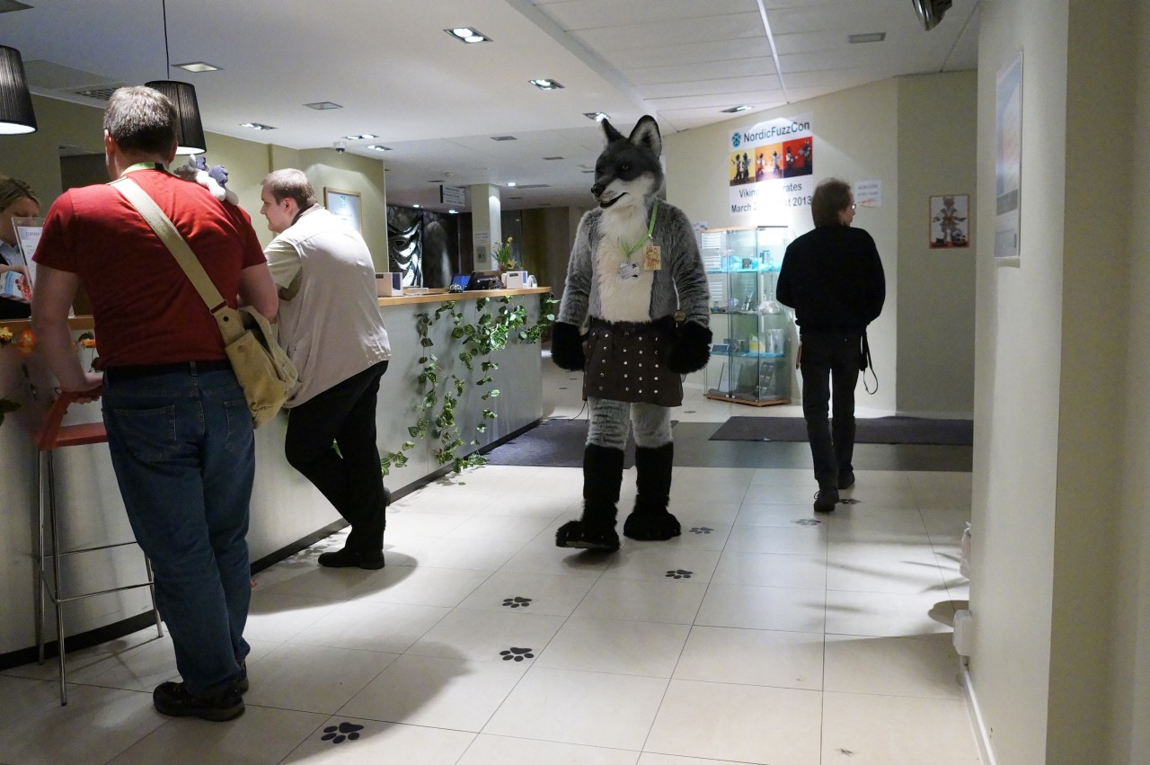 Nordic Fuzzcon 2013 - 246