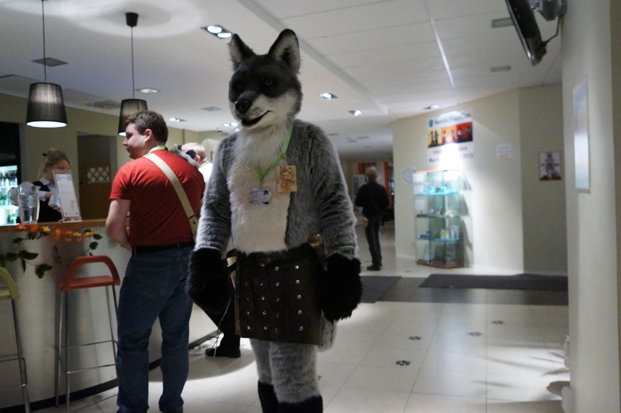 Nordic Fuzzcon 2013 - 248