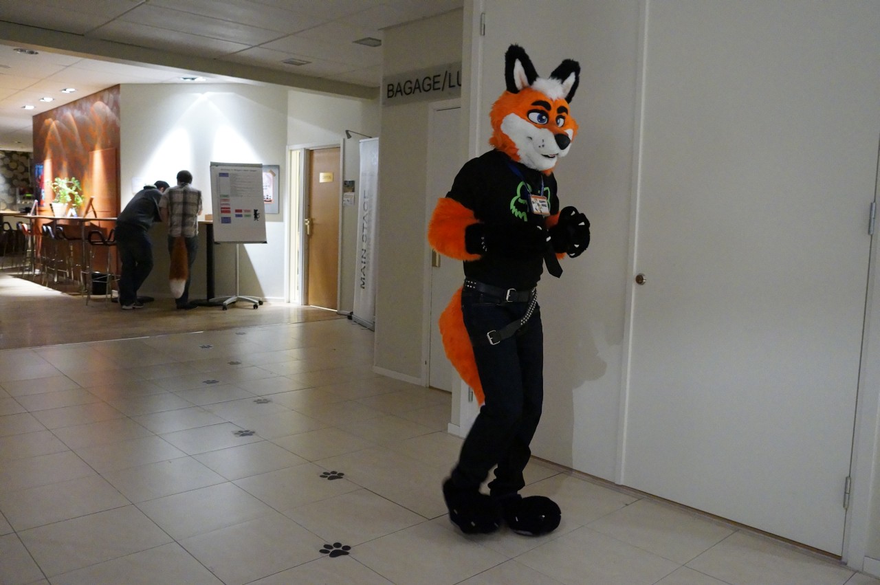 Nordic Fuzzcon 2013 - 249