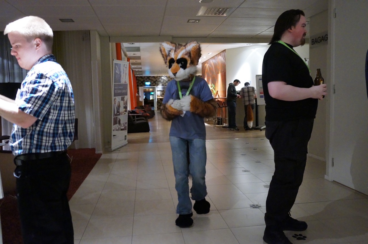 Nordic Fuzzcon 2013 - 256