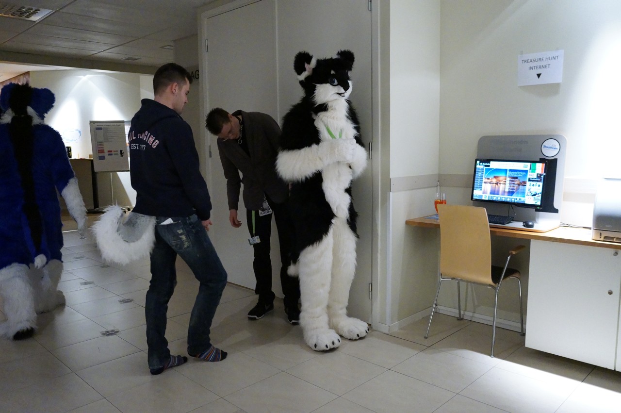 Nordic Fuzzcon 2013 - 257