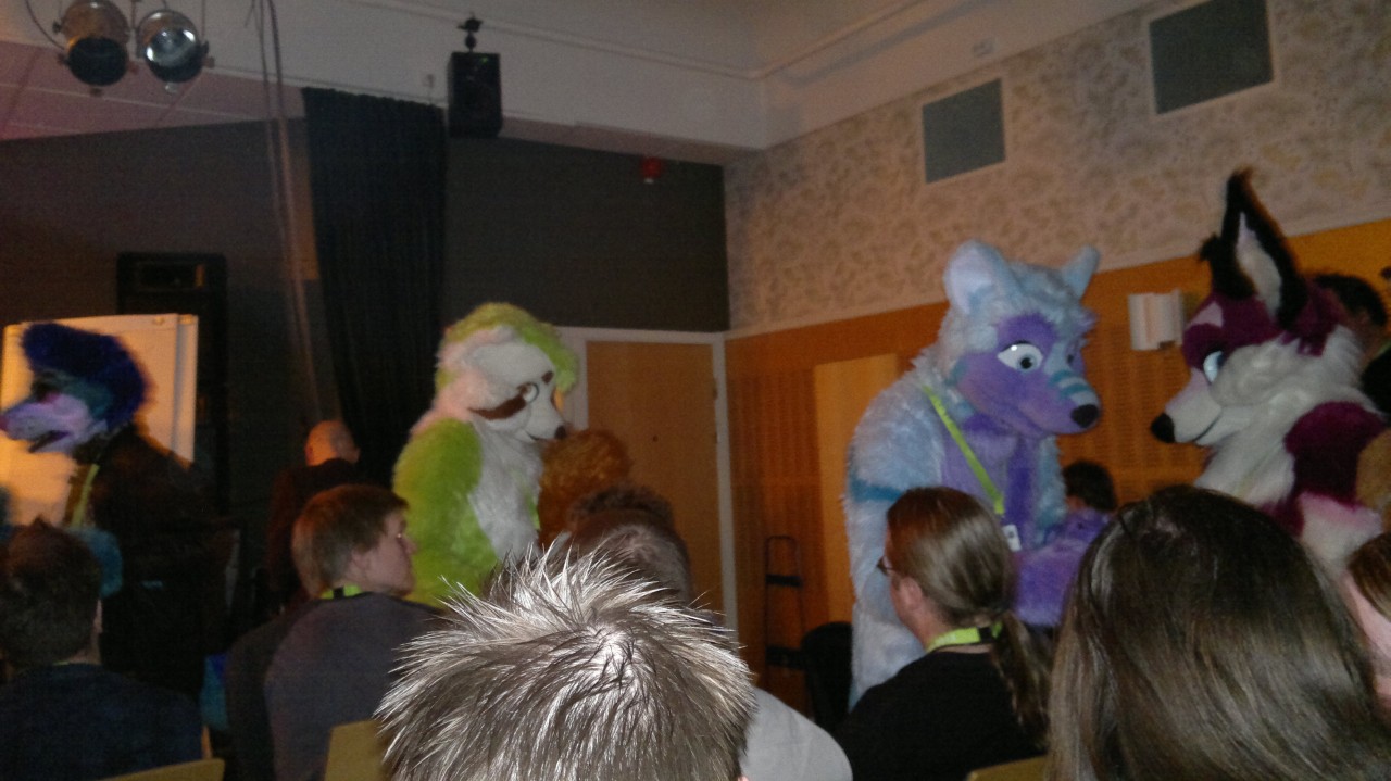 Nordic Fuzzcon 2013 - 26