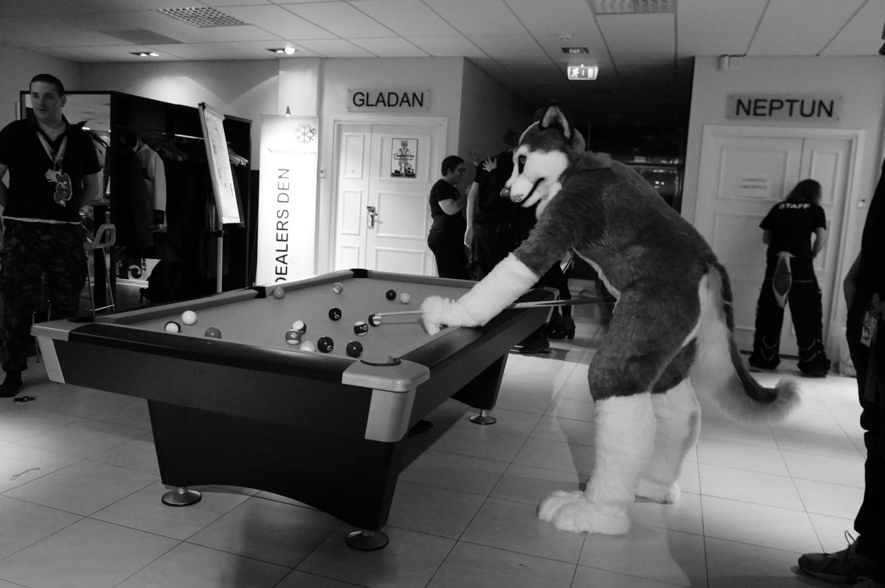 Nordic Fuzzcon 2013 - 260