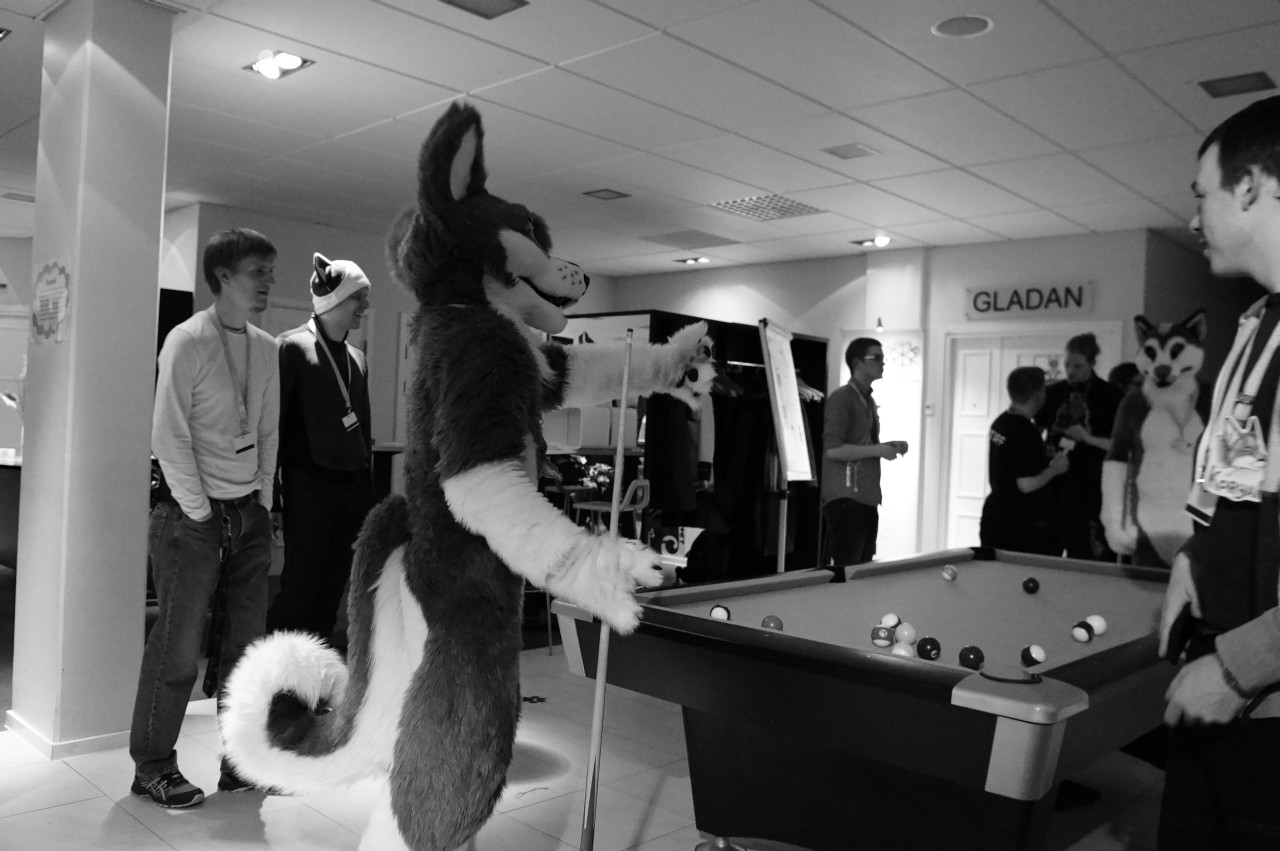 Nordic Fuzzcon 2013 - 262