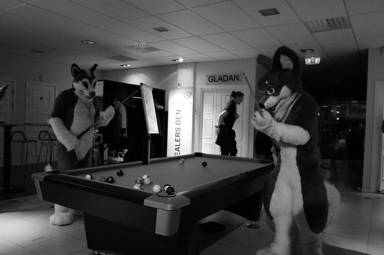 Nordic Fuzzcon 2013 - 265