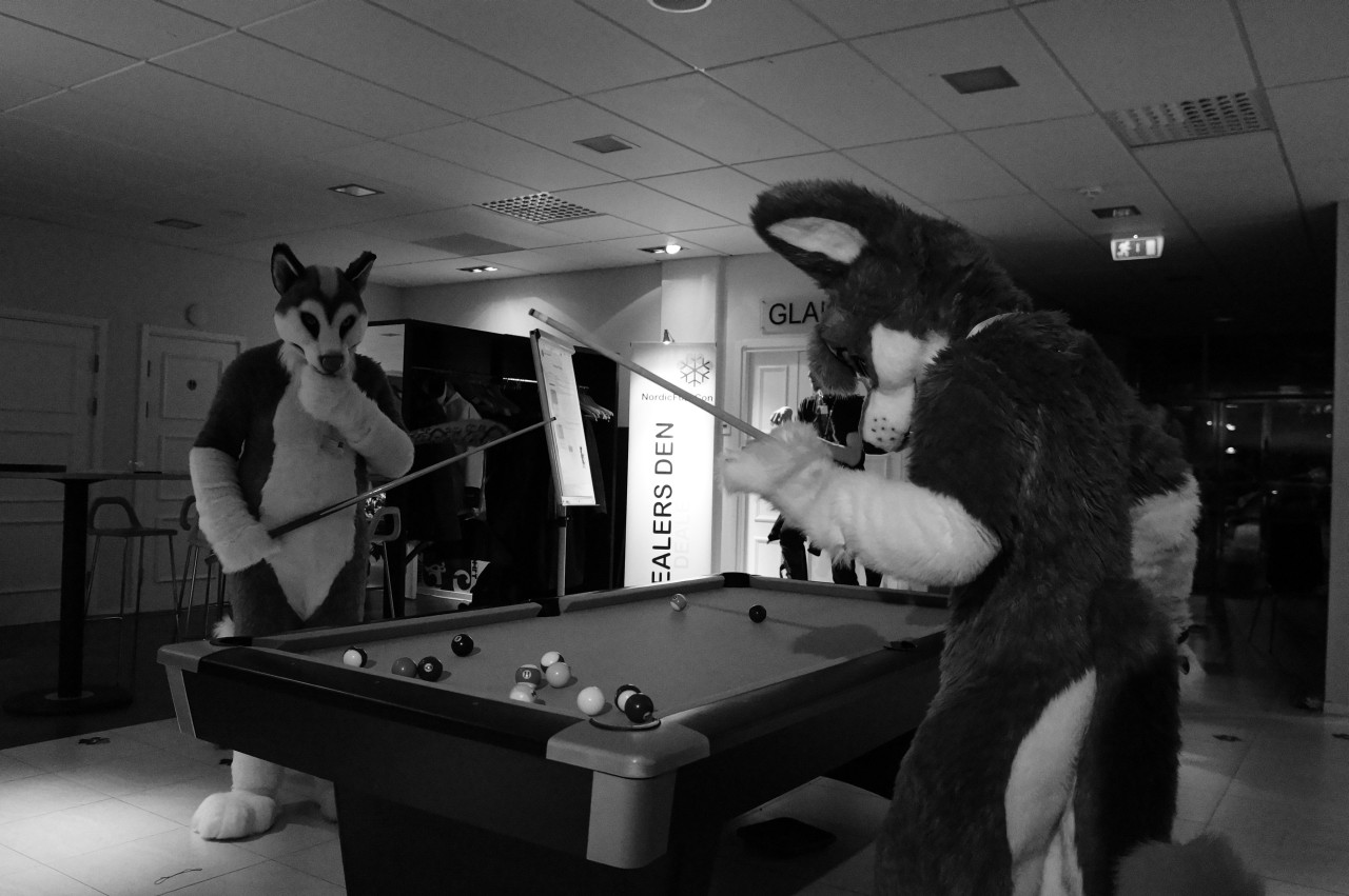 Nordic Fuzzcon 2013 - 266