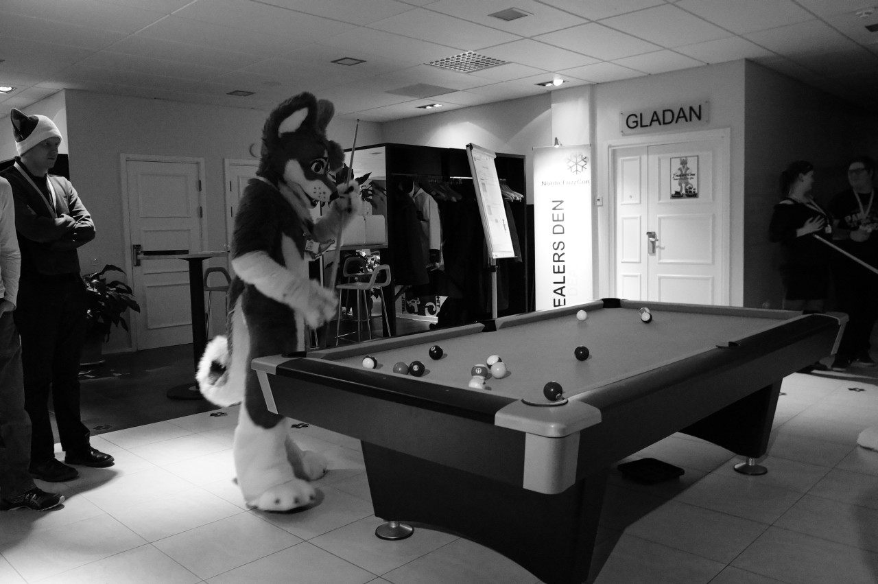 Nordic Fuzzcon 2013 - 268