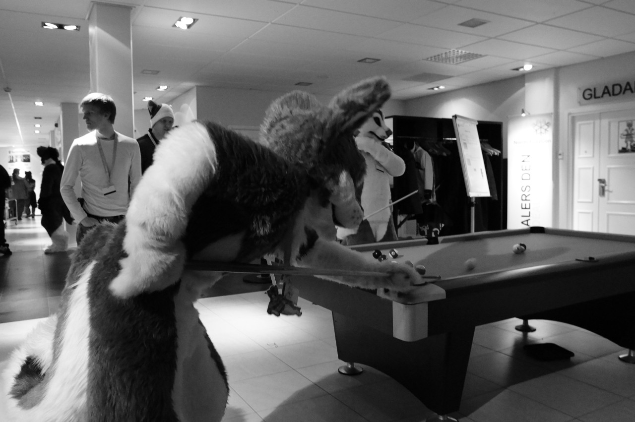 Nordic Fuzzcon 2013 - 270