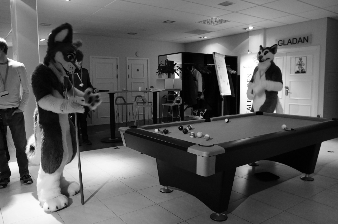 Nordic Fuzzcon 2013 - 272